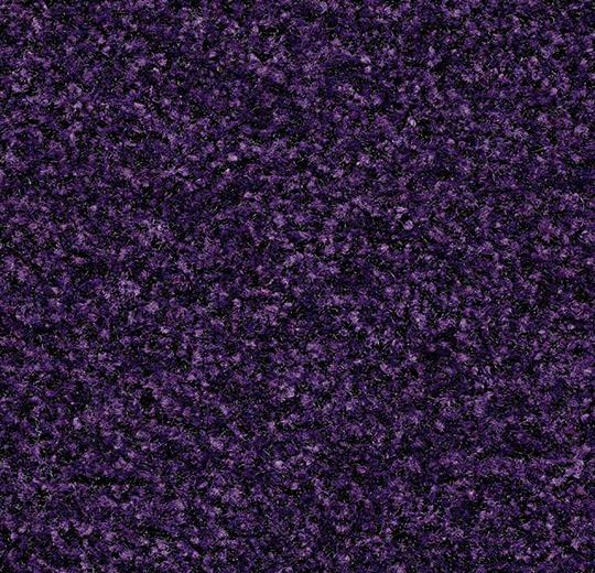 Brush 5709 royal purple