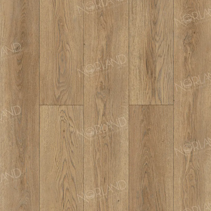 Gaula 1022-21